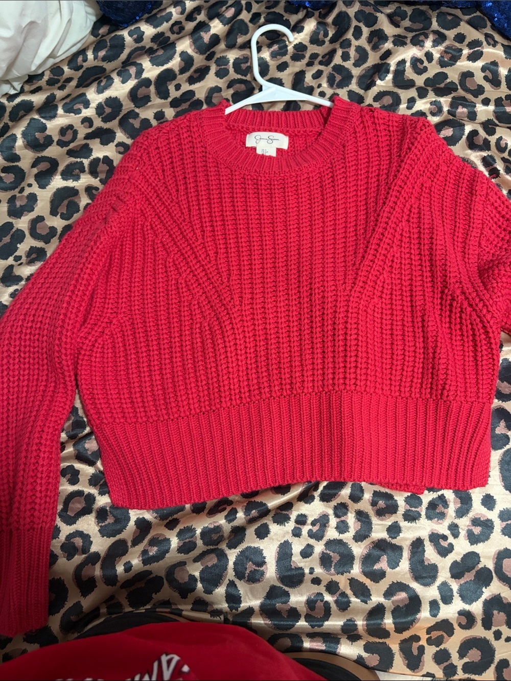 Jessica Simpson Red Chunky Crewneck Sweater